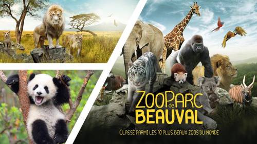 Week-end Zoo de Beauval & Angers & Château de Saumur & Tours
