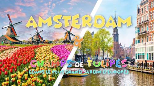 Long weekend Amsterdam & the biggest flower garden of Europe