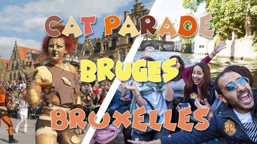 Weekend Cat Parade & Bruges & Bruxelles