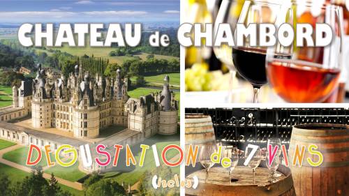 Château de Chambord & dégustation incluse 