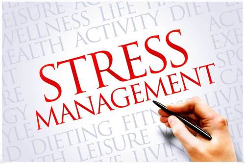 Transforming stress to build resilience & increase performance (English)