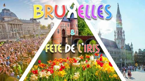 Weekend Bruxelles : Fête de l'Iris & Champs de Tulipes 2019