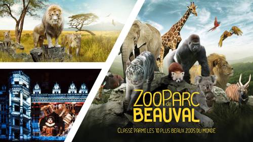 Week-end Zoo de Beauval, Orléans, Tours & Blois 2019 79,9€ Promo
