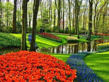 Amsterdam & Festival Tulipes 2024 - NOUVEAU DAY TRIP - 13 avril