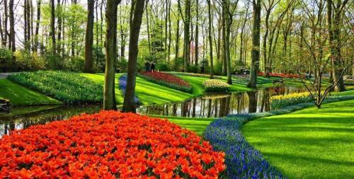 Amsterdam & Festival Tulipes 2024 - NOUVEAU DAY TRIP - 13 avril