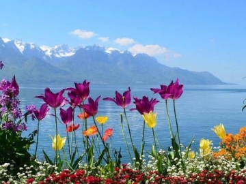 Long summer weekend Suisse, lacs & montagnes 2024