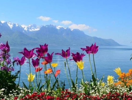 Long summer weekend Suisse, lacs & montagnes 2024
